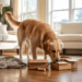 Hund macht futtersuche in kartons im wohnzimmer