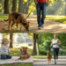 sicher joggen mit hund mit bauchgurt-leine für aktive hunde