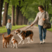 Familienhund bleibt ansprechbar trotz anderer Hunde