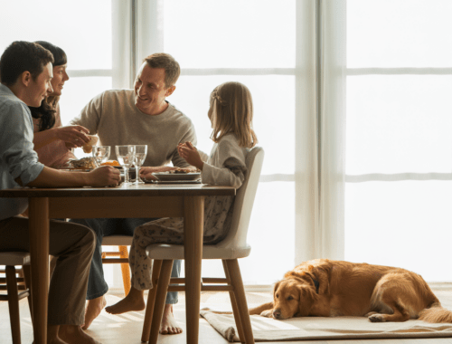 Hund bleibt ruhig auf seiner Decke während die Familie isst